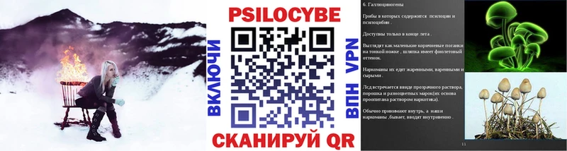 где продают   кракен ТОР  Галлюциногенные грибы Psilocybine cubensis  Челябинск 